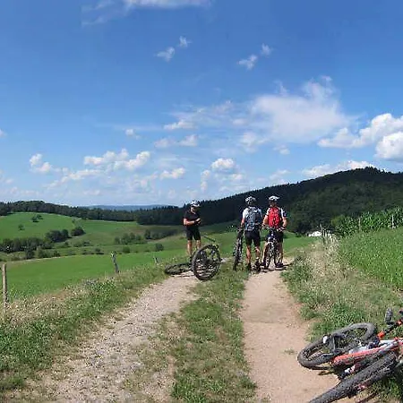 Naturkulturhotel Stumpf 4* Neunkirchen (Neckar-Odenwald-Kreis)